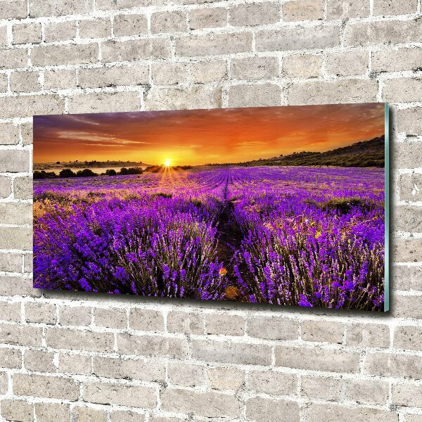 Wall art on glass Lavender field