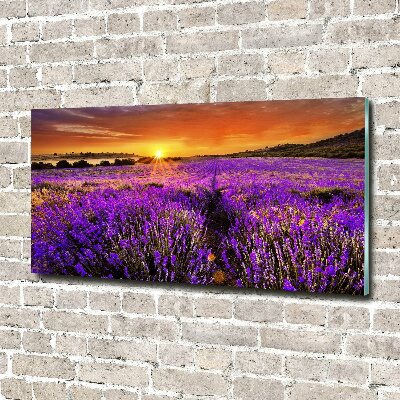 Wall art on glass Lavender field