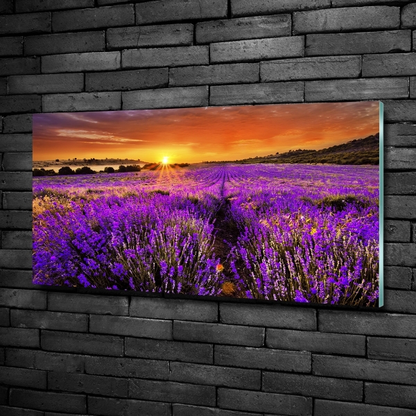 Wall art on glass Lavender field