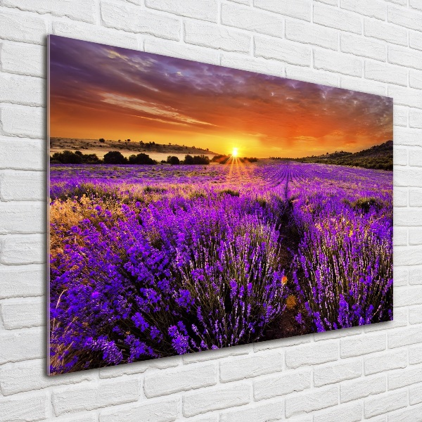 Wall art on glass Lavender field