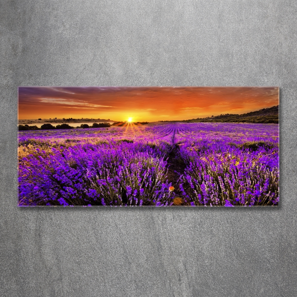 Wall art on glass Lavender field