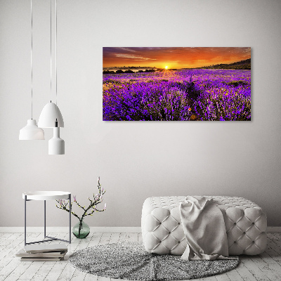 Wall art on glass Lavender field