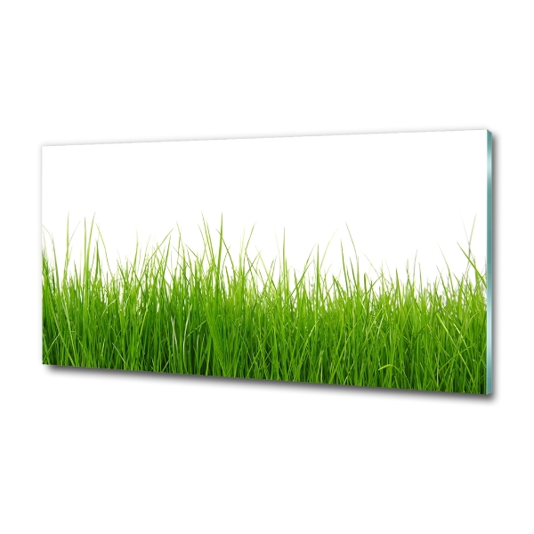 Wall art on glass Grass