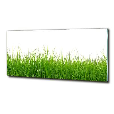 Wall art on glass Grass