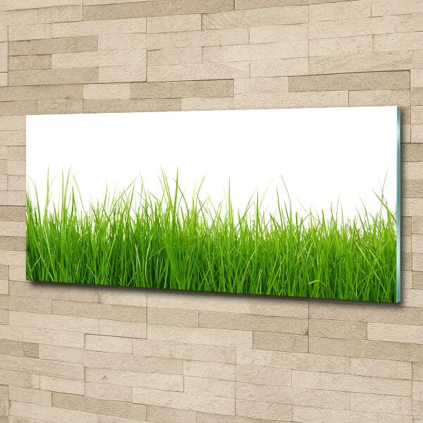 Wall art on glass Grass