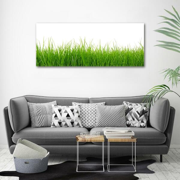 Wall art on glass Grass