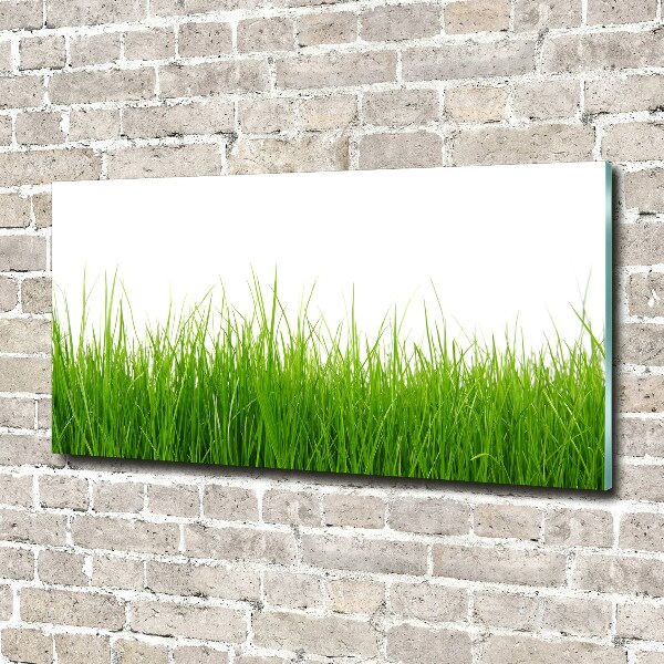 Wall art on glass Grass