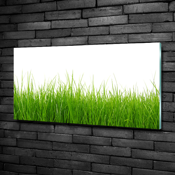 Wall art on glass Grass