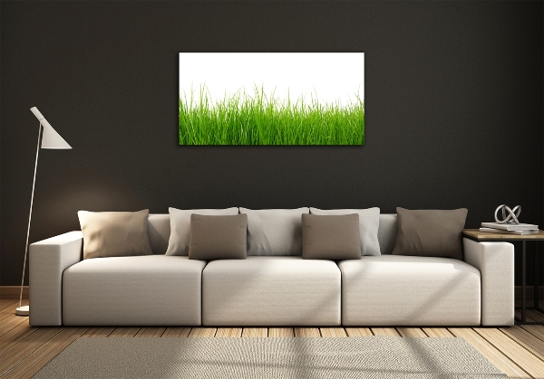 Wall art on glass Grass