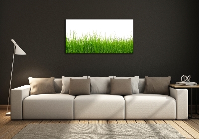 Wall art on glass Grass