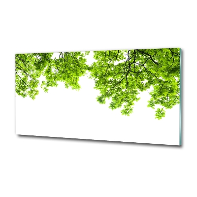 Wall art on glass Oak leaves