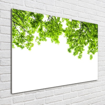 Wall art on glass Oak leaves