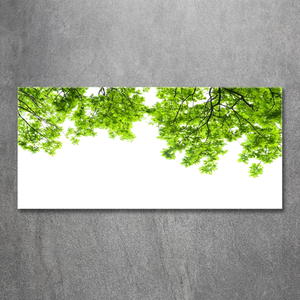 Wall art on glass Oak leaves