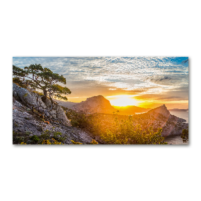 Wall art on glass Sunset