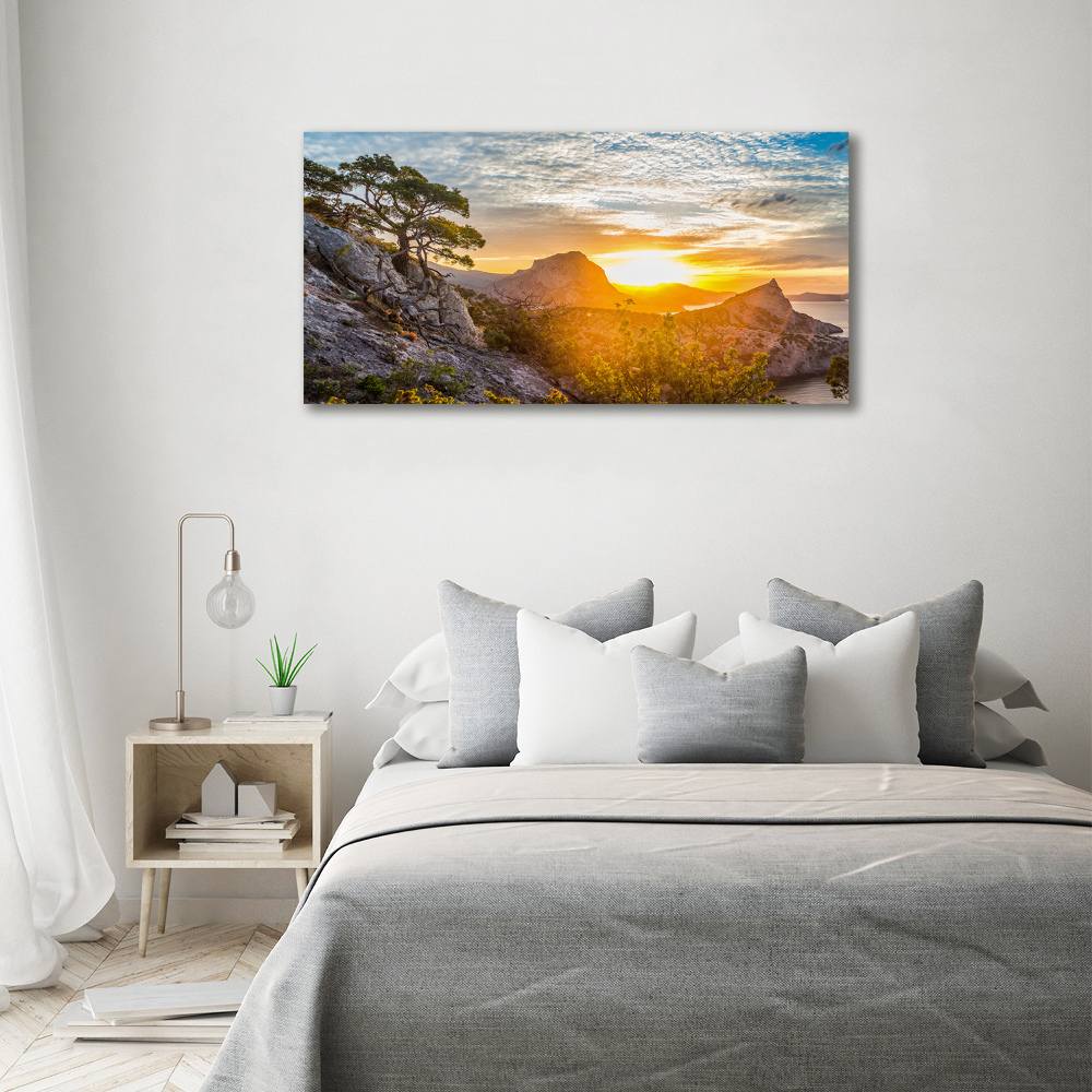 Wall art on glass Sunset