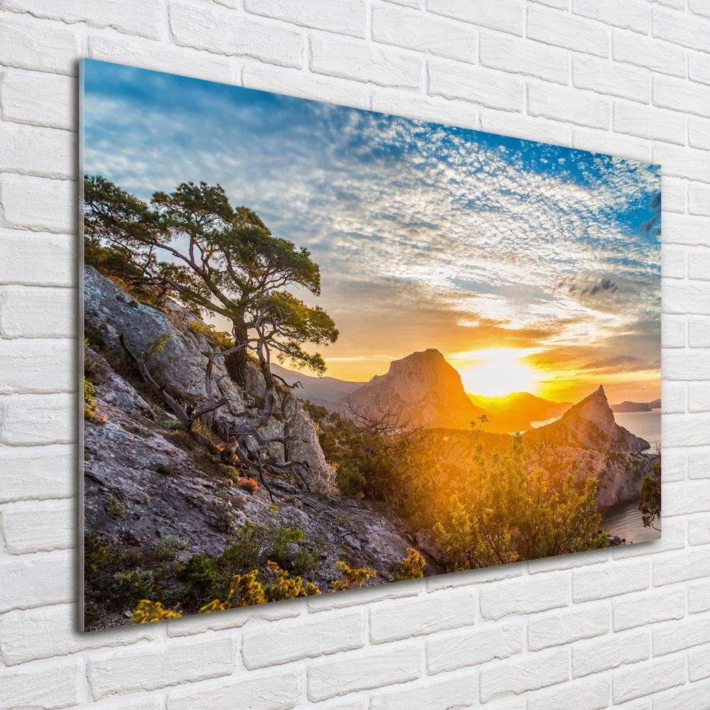 Wall art on glass Sunset