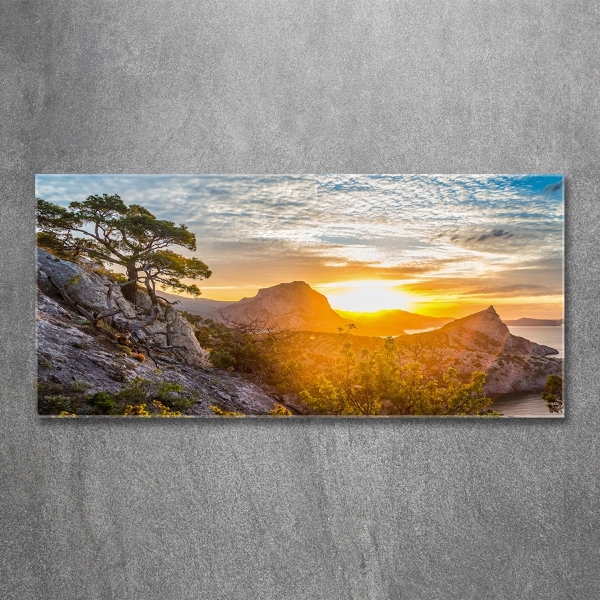 Wall art on glass Sunset