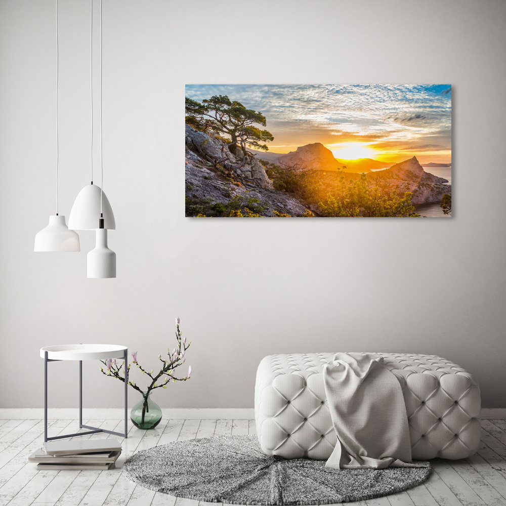 Wall art on glass Sunset