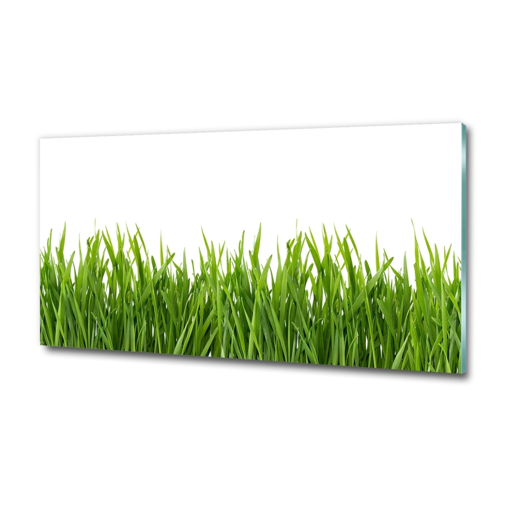 Wall art on glass Grass