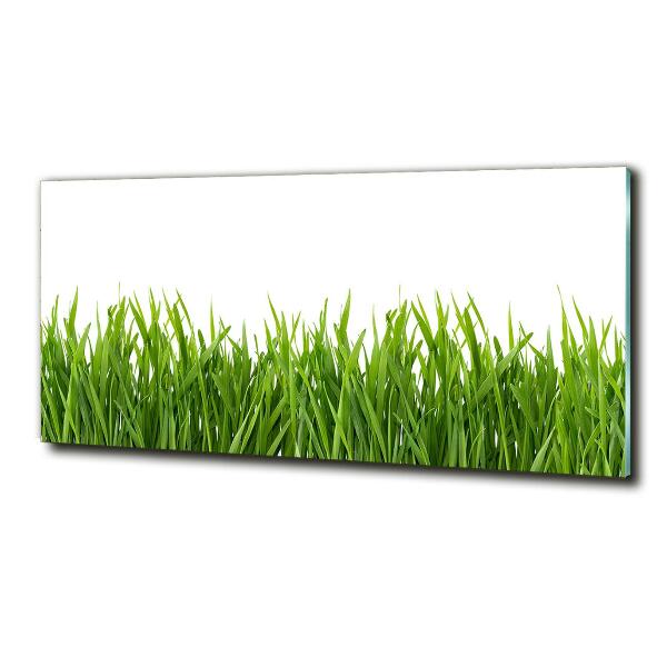 Wall art on glass Grass