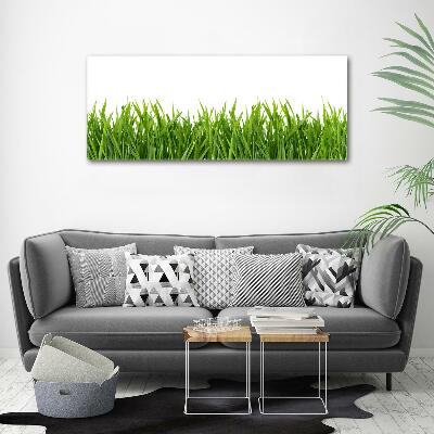 Wall art on glass Grass