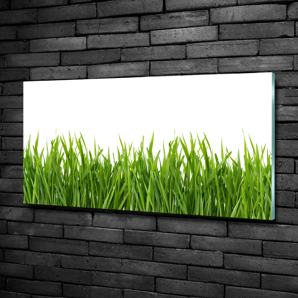 Wall art on glass Grass