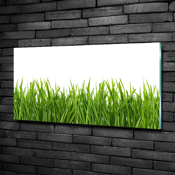 Wall art on glass Grass