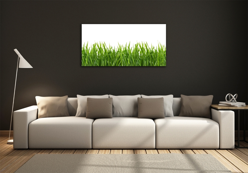 Wall art on glass Grass