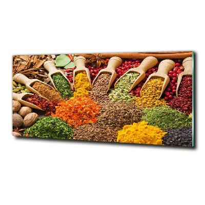 Wall art on glass Colorful spices