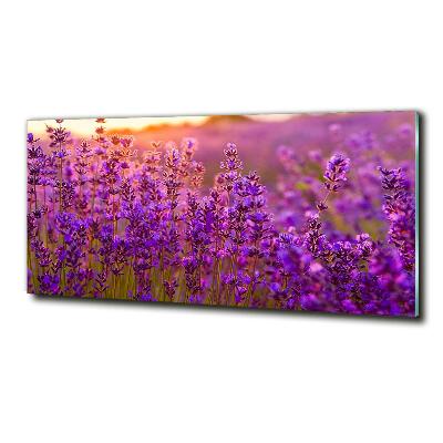 Glass wall art Lavender field