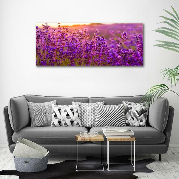 Glass wall art Lavender field