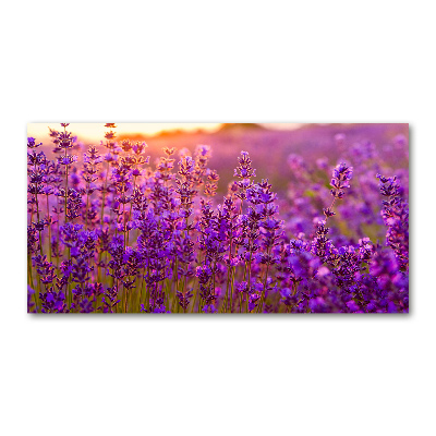 Glass wall art Lavender field