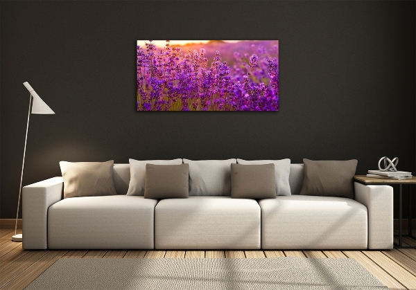 Glass wall art Lavender field