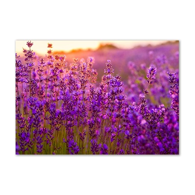 Glass wall art Lavender field