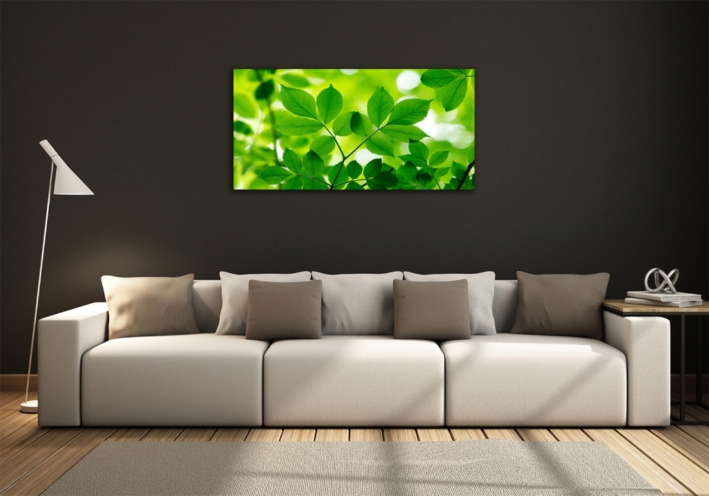 Wall art on glass Green leaves