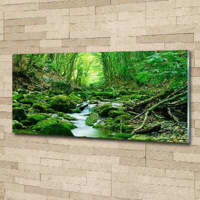 Glass wall art Stream in the forest