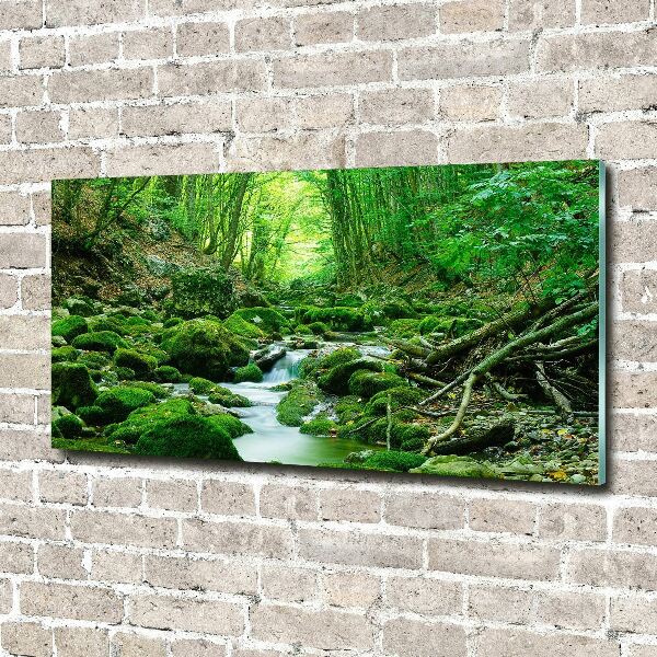 Glass wall art Stream in the forest