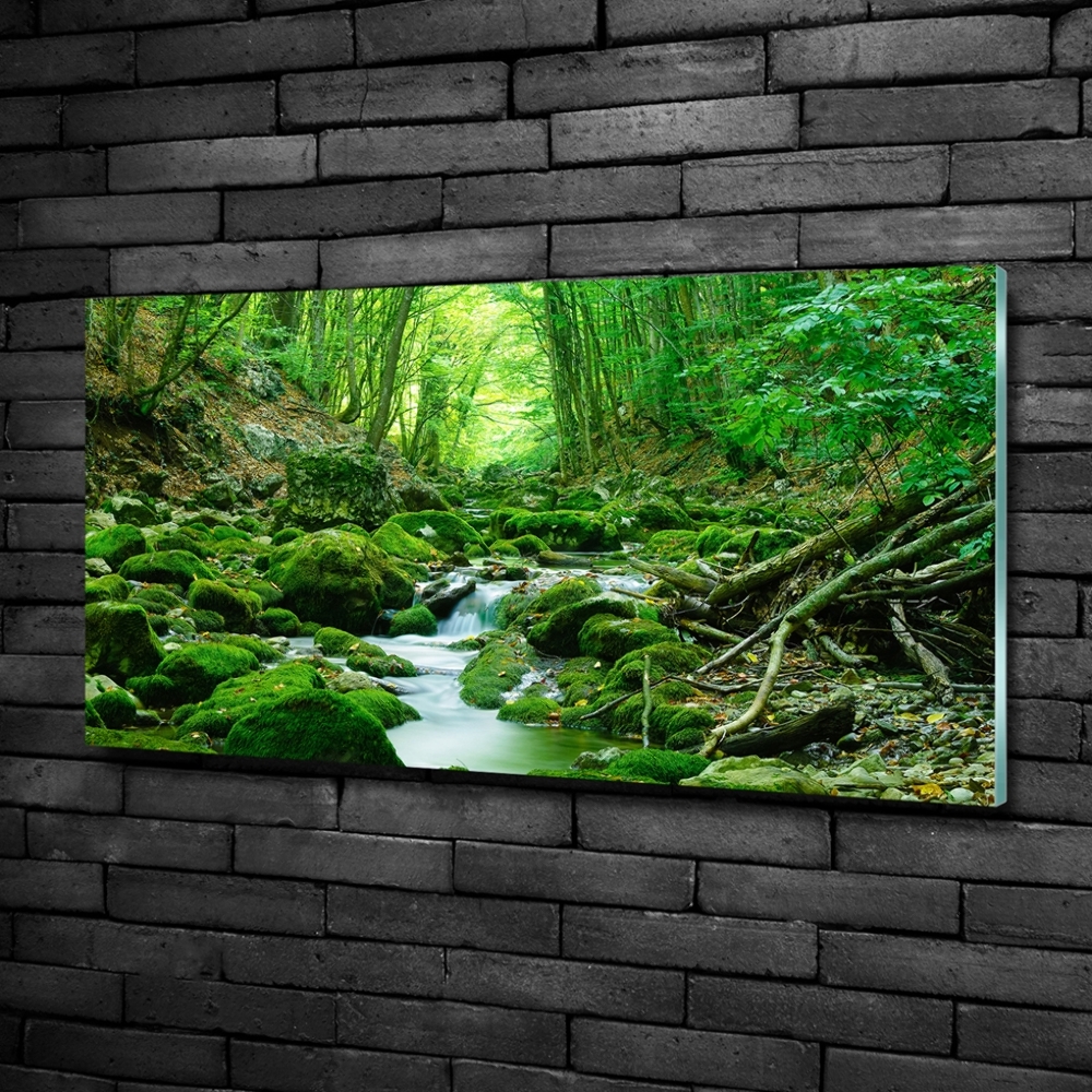 Glass wall art Stream in the forest