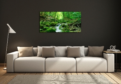 Glass wall art Stream in the forest