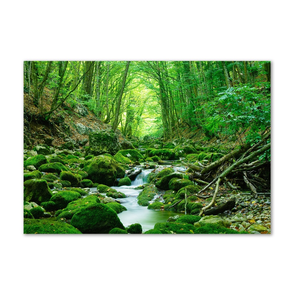 Glass wall art Stream in the forest