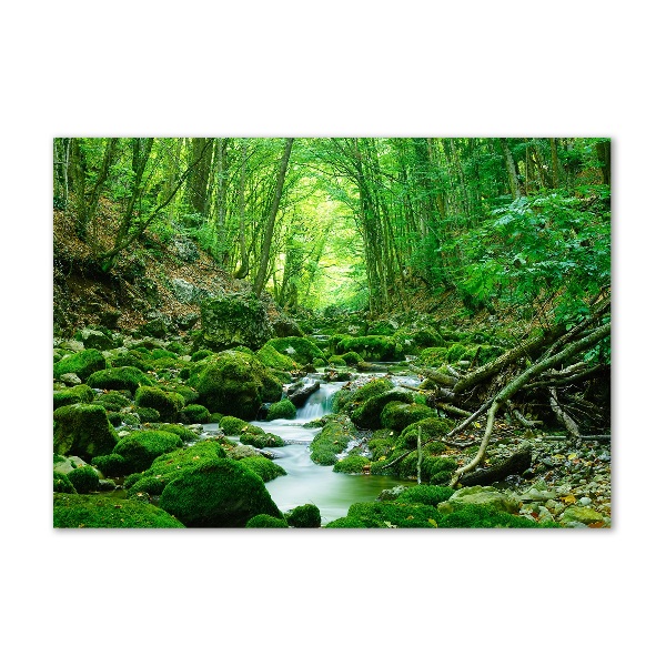 Glass wall art Stream in the forest