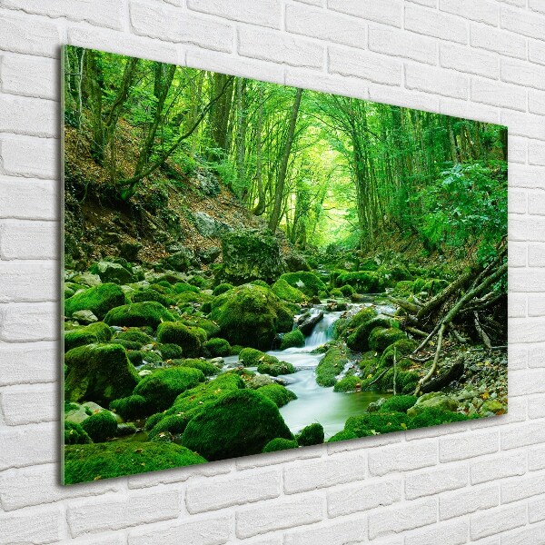 Glass wall art Stream in the forest