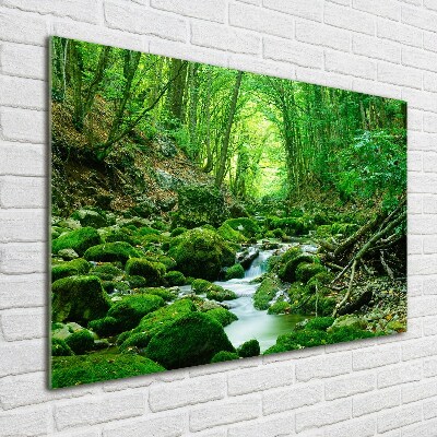 Glass wall art Stream in the forest