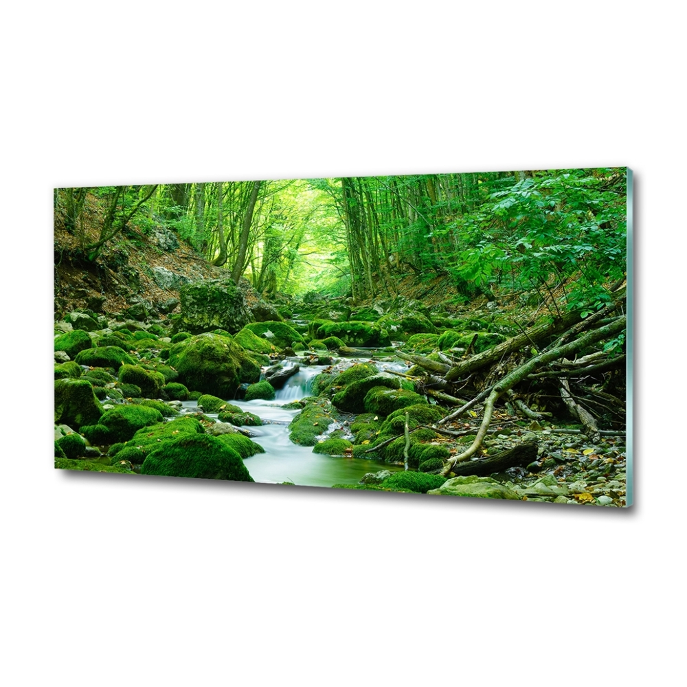 Glass wall art Stream in the forest