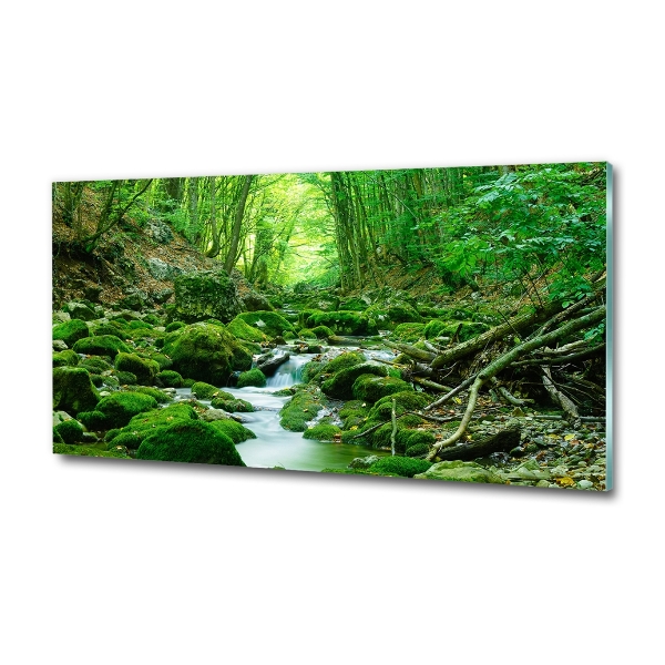 Glass wall art Stream in the forest