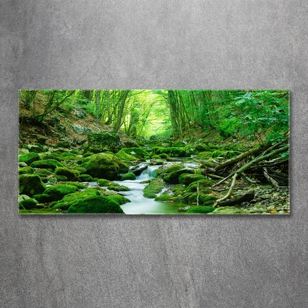 Glass wall art Stream in the forest