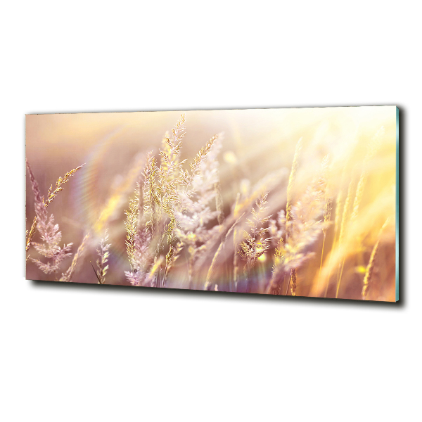 Wall art on glass Tall grass