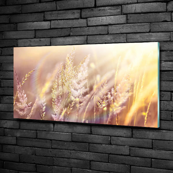 Wall art on glass Tall grass