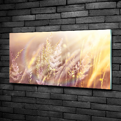 Wall art on glass Tall grass