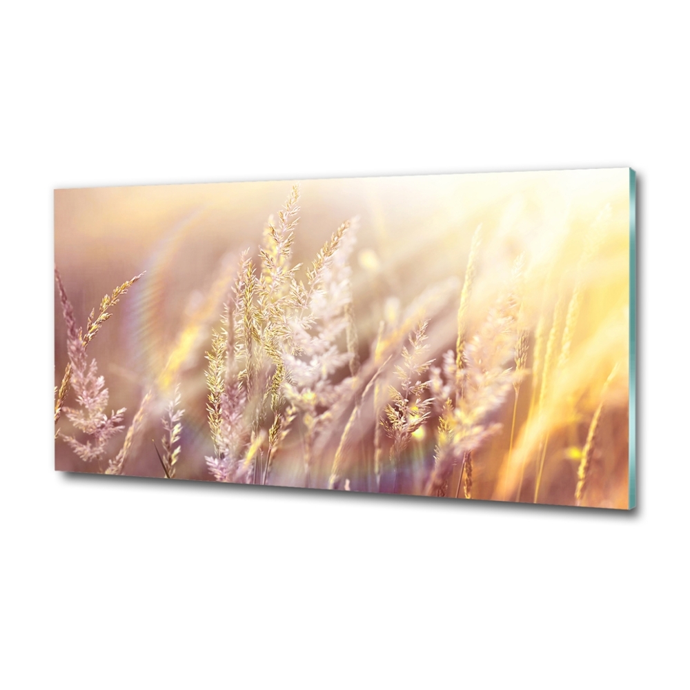 Wall art on glass Tall grass